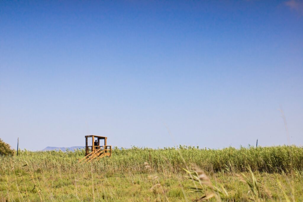 brown wooden chair on green grass field under blue sky during daytime
